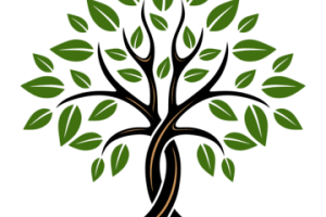 pngtree-banyan-tree-logo-design