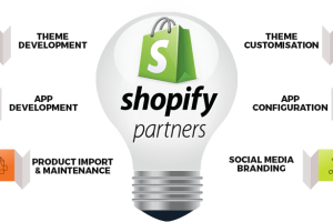 shopify-development